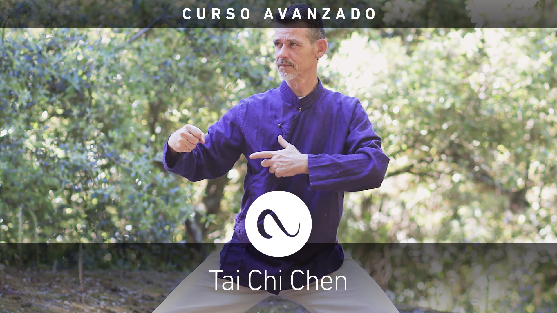 Curso tai Chi Chen Avanzado