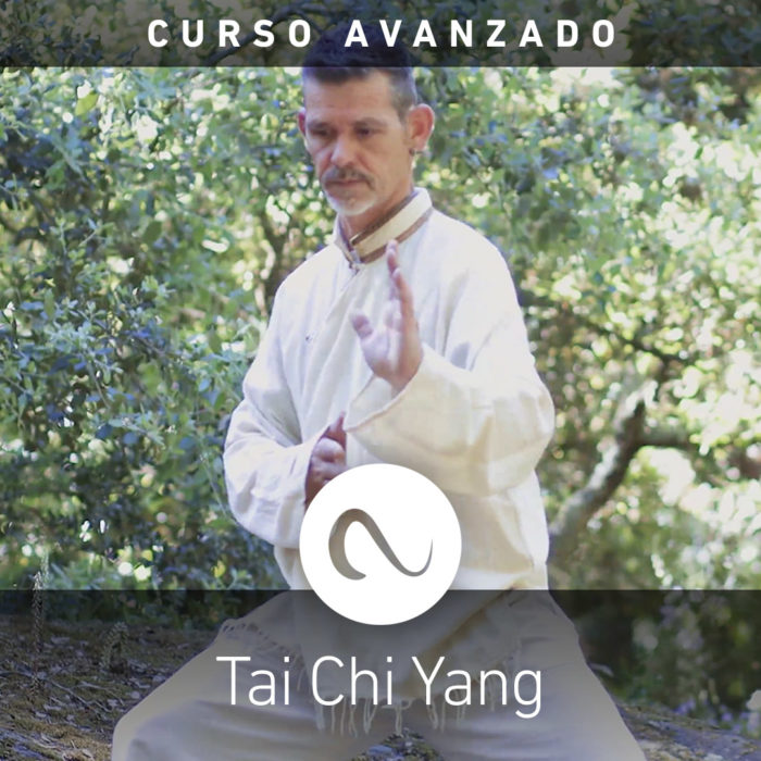 Curso Tai Chi Yang Avanzado