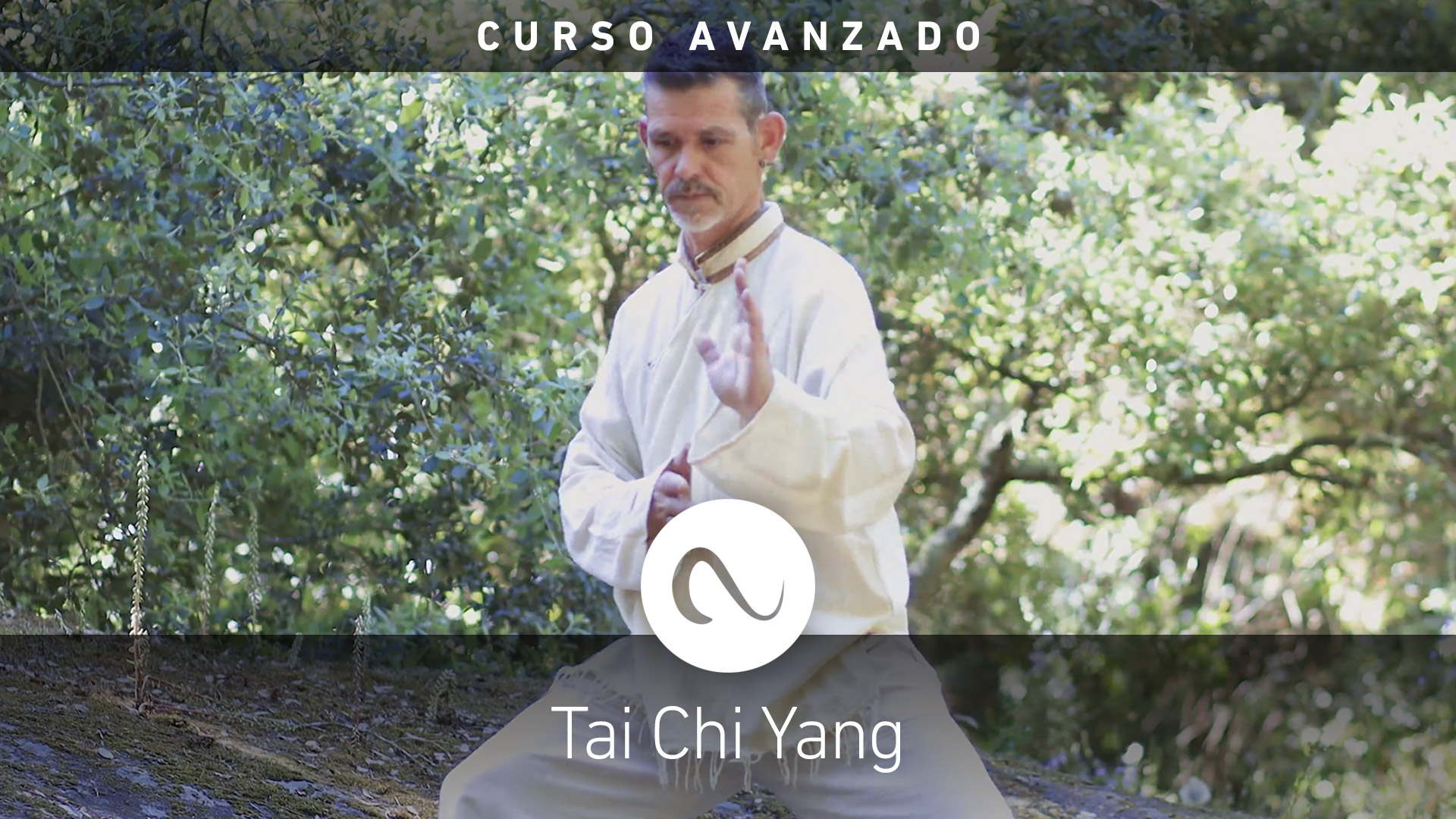 Curso Tai Chi Yang Avanzado