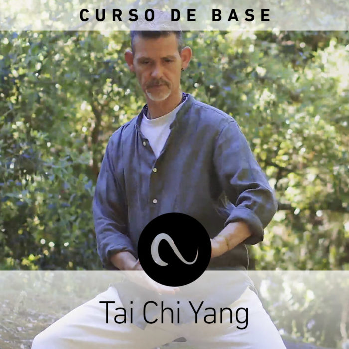 Curso Tai Chi Yang Base